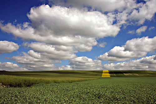 Champs de la Somme